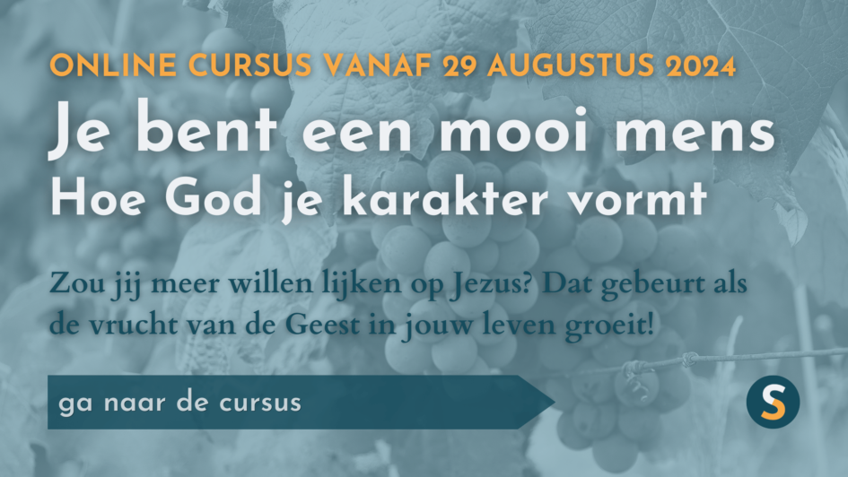 de-bergrede-van-jezus-matte-s-5-1-7-29